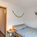 Pfaelzerwald Idyll * Schwanheim